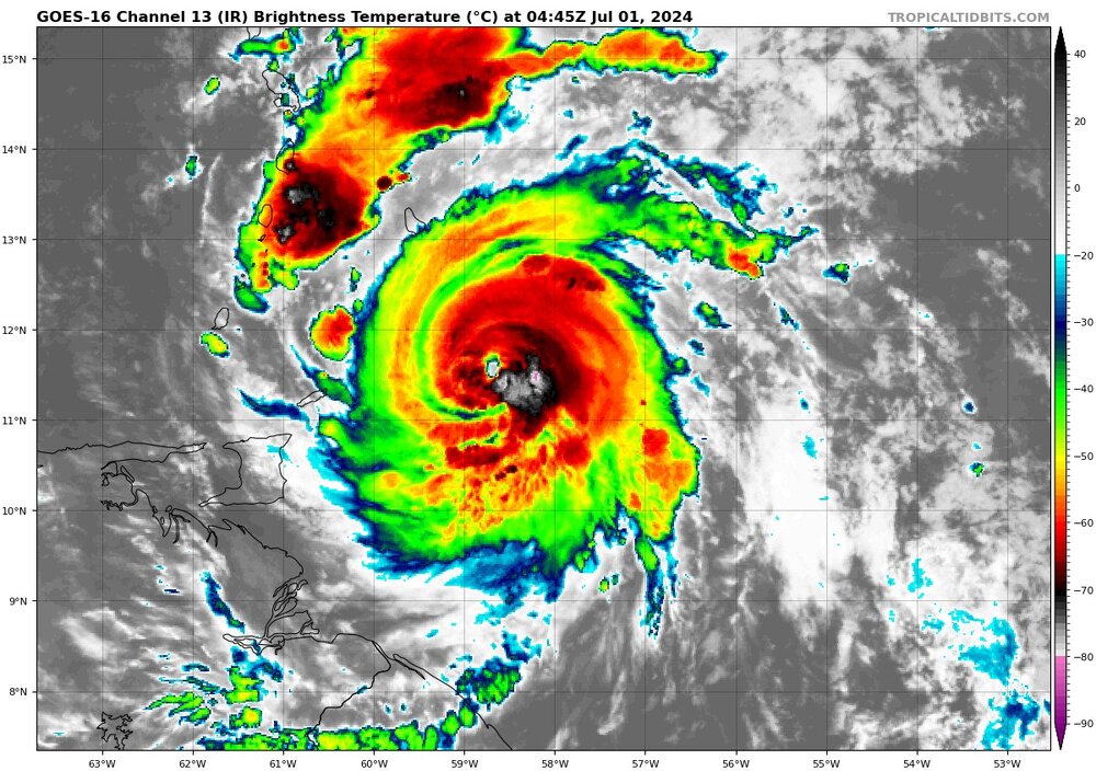 barreling beryl number 4 pac man.jpg