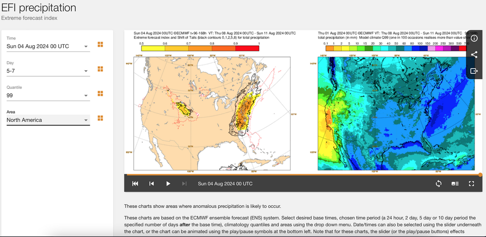 Screen Shot 2024-08-04 at 6.30.12 AM.png