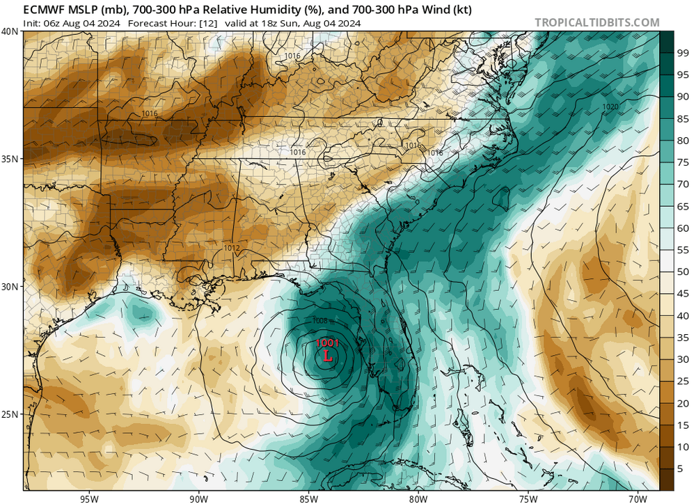 ecmwf_midRH_seus_5_6Z.png