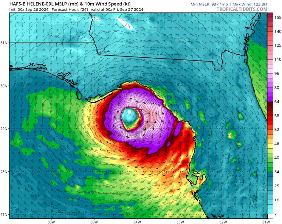 hafsb_mslp_wind_09L_9.png