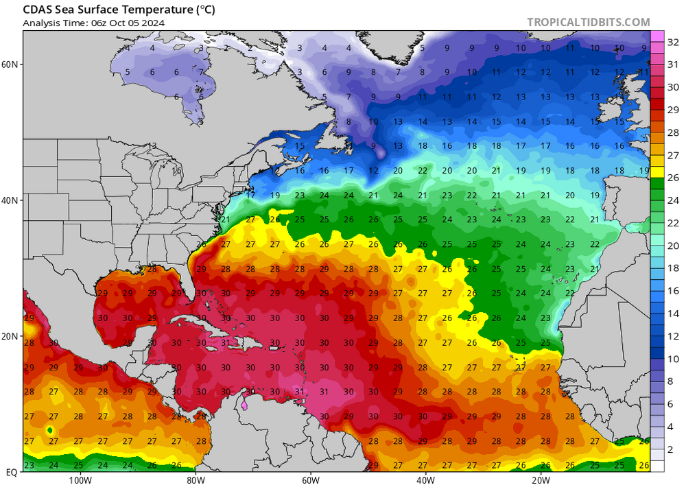 cdas-sflux_sst_atl_1 (1).png