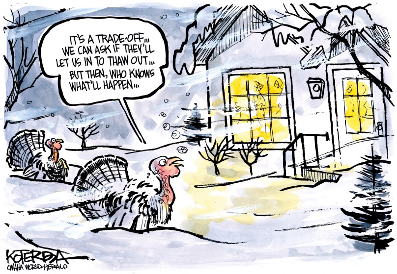 TurkeysInSnow.jpg.9d7881c1566f20b96dbf3ac3ed1482a0.jpg