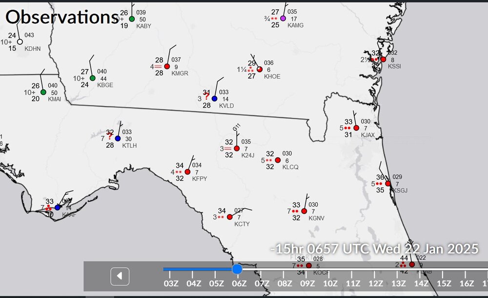 more snow in florida.jpg