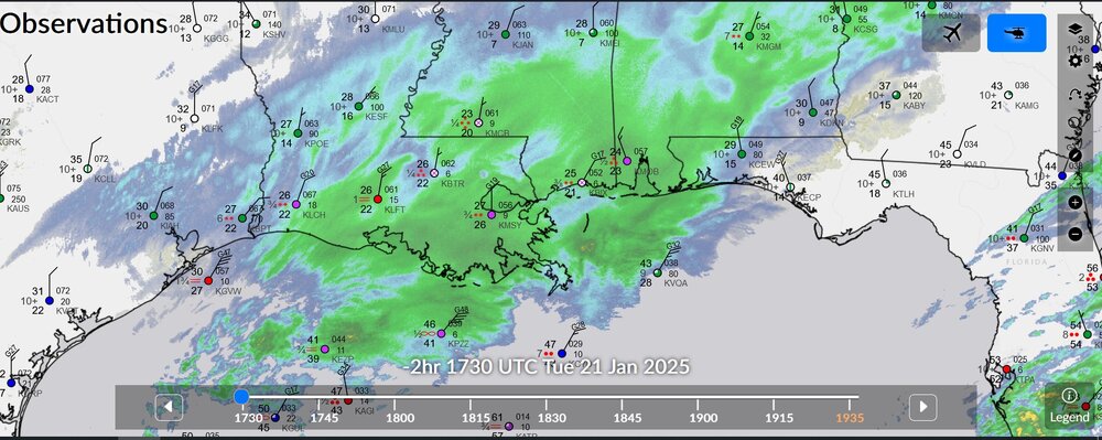 heavy snow gulf coast 1.jpg