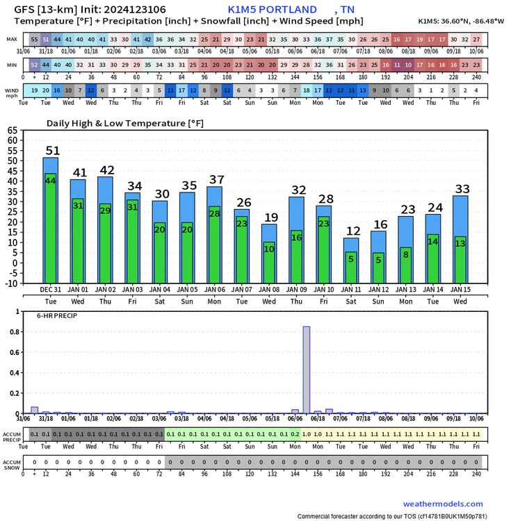 GFS Pressure Lev K1M5 10-day Temperature + Precipitation (4).png