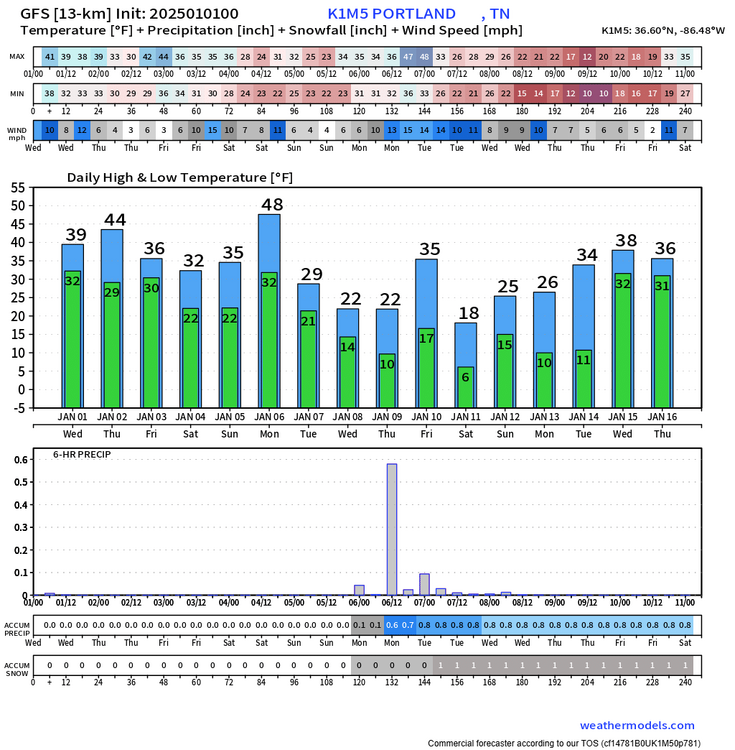 GFS Pressure Lev K1M5 10-day Temperature + Precipitation (7).png