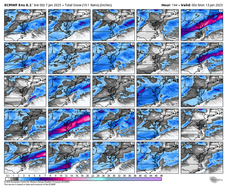 ecmwf-ensemble-avg-ma-snow_total_multimember_panel_ecmwf_a-6726400.thumb.png.b4f99ae0278fe82530971293f6e47b75.png