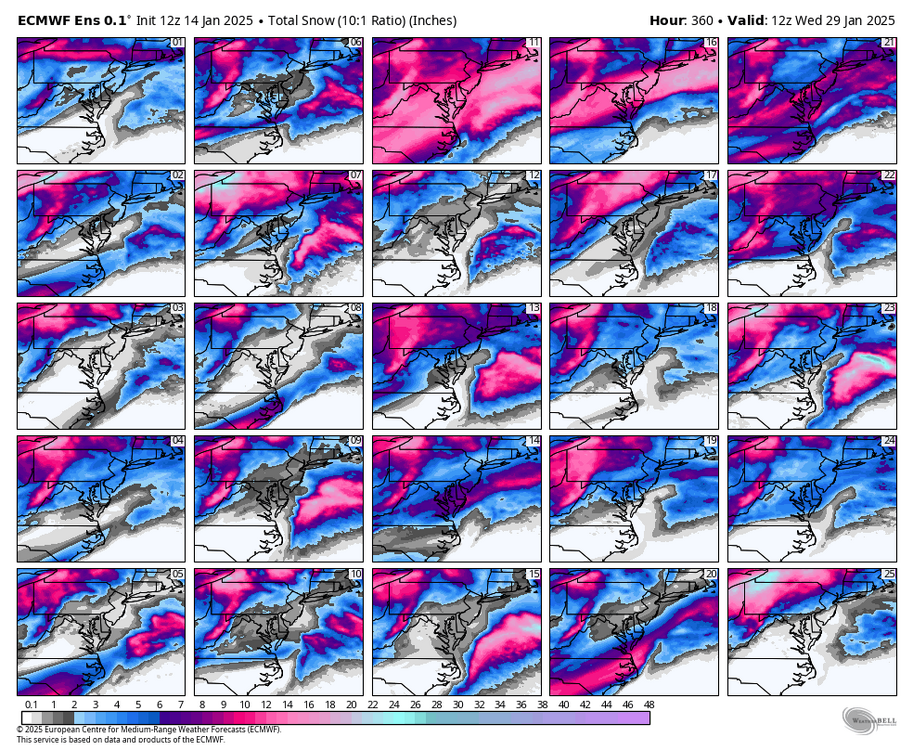 ecmwf-ensemble-avg-ma-snow_total_multimember_panel_ecmwf_a-8152000.thumb.png.879944bfc8682f819fb2bcb884c2a88a.png