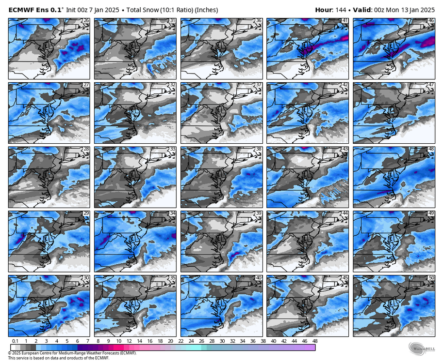 ecmwf-ensemble-avg-ma-snow_total_multimember_panel_ecmwf_b-6726400.thumb.png.dd853daff6861f32408e5ee8ad0857cf.png