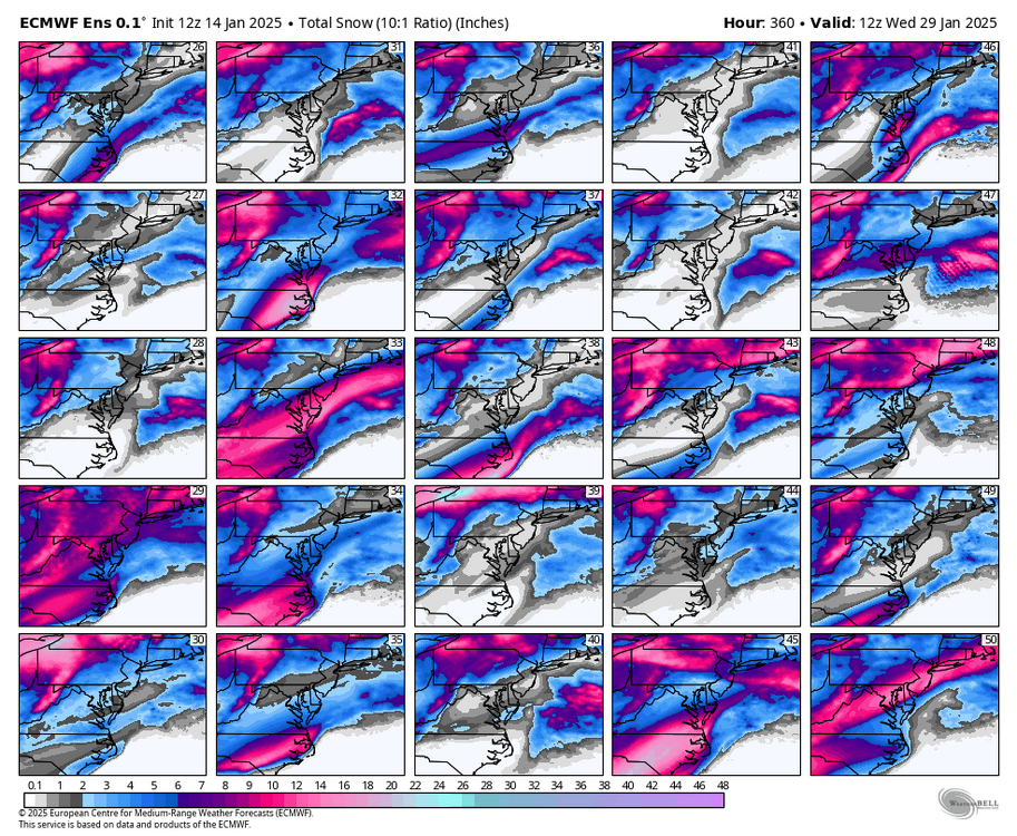 ecmwf-ensemble-avg-ma-snow_total_multimember_panel_ecmwf_b-8152000.thumb.png.b4a9127d289558b55a8ab538ee5986f2.png