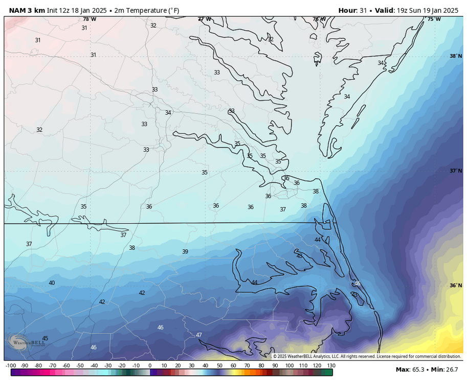 nam-nest-norfolk-t2m_f-7313200.thumb.png.2ac7b2d907976c1a2665287b6340872e.png