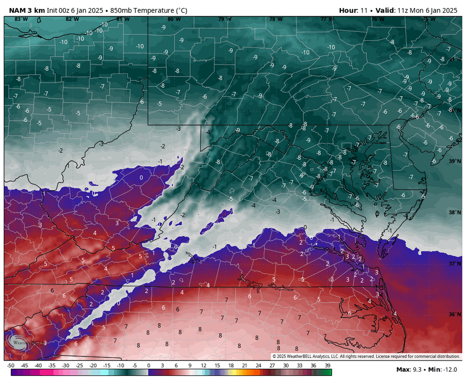 nam-nest-shenendoah-t850-6161200.thumb.png.c4a6078e03bea2dc136c4dc542e714ae.png