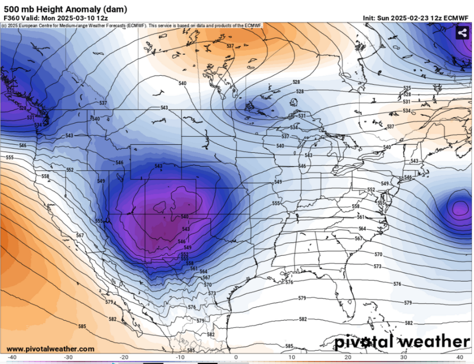 Models-ECMWF-—-Pivotal-Weather-02-23-2025_03_46_PM.png