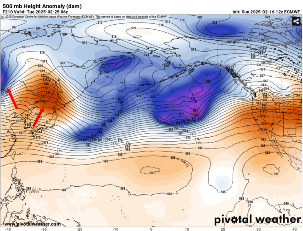 Models-ECMWF-—-Pivotal-Weather-02-16-2025_12_34_PM.png