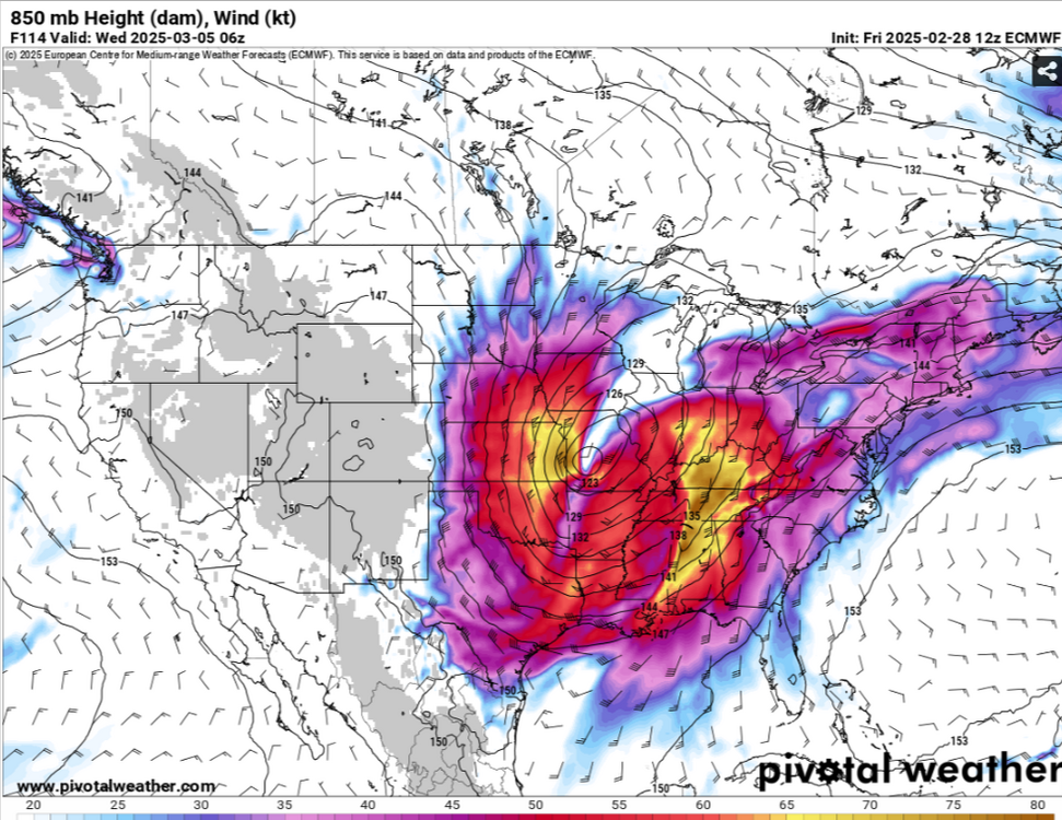 819359932_Models-ECMWF--Pivotal-Weather-02-28-2025_12_22_PM.thumb.png.9a954217ad5c28f7b67bbbd81993ff1c.png