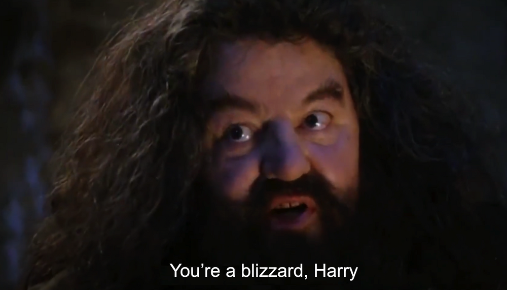 HARRY.png