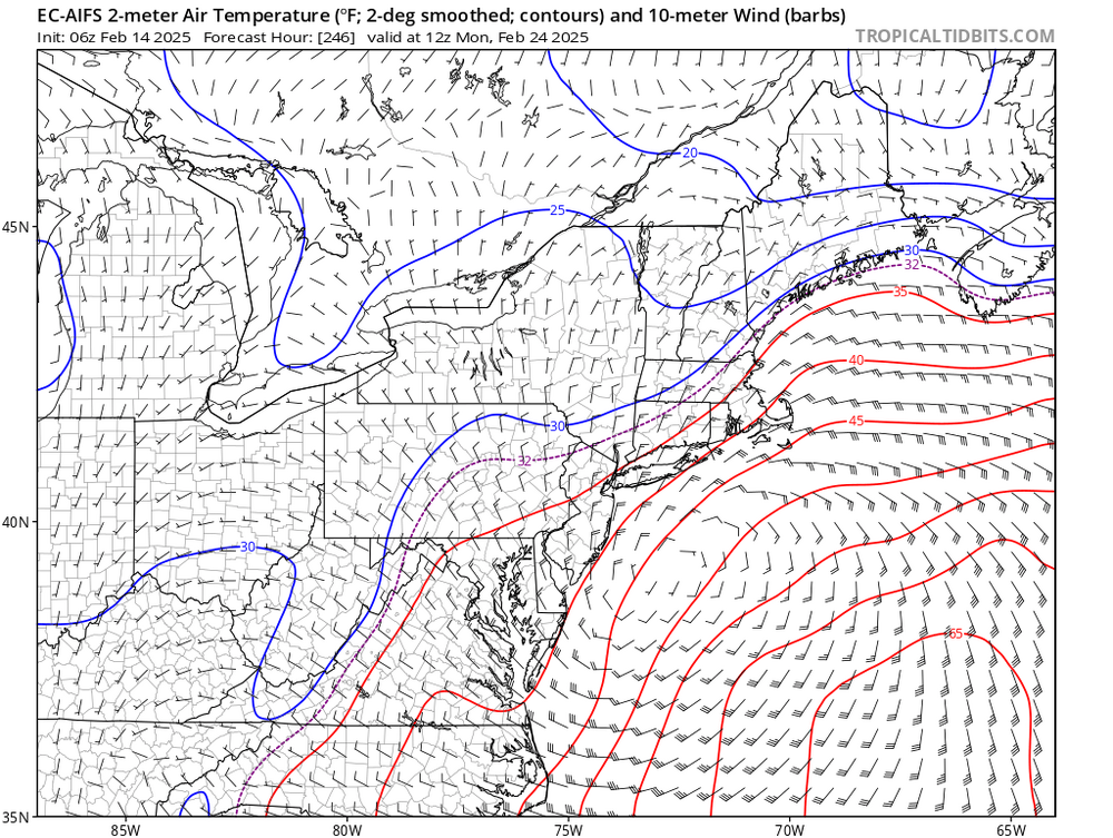 ec-aifs_T2m_contour_neus_42.png