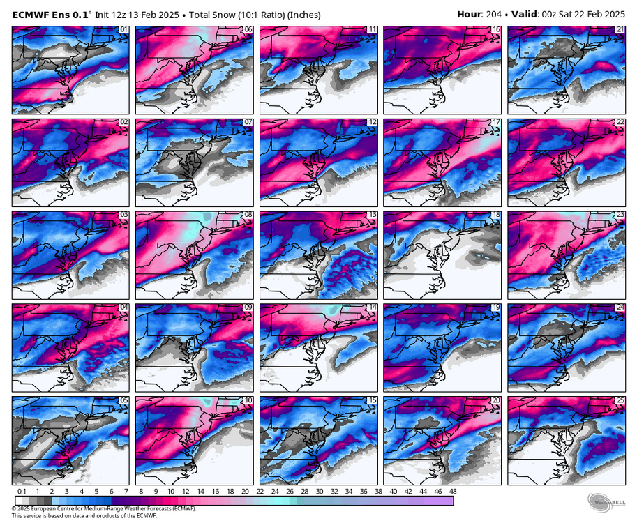 ecmwf-ensemble-avg-ma-snow_total_multimember_panel_ecmwf_a-0182400.thumb.png.bcf84f75986b2a7ab743a38bd6794874.png