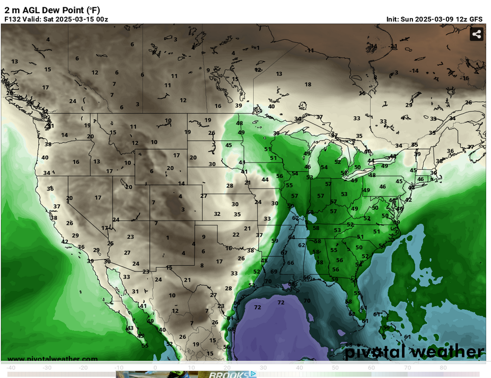 796433214_Models-GFS--Pivotal-Weather-03-09-2025_09_33_PM.thumb.png.7ac379c7daf6b16f657316f1f9f3476a.png