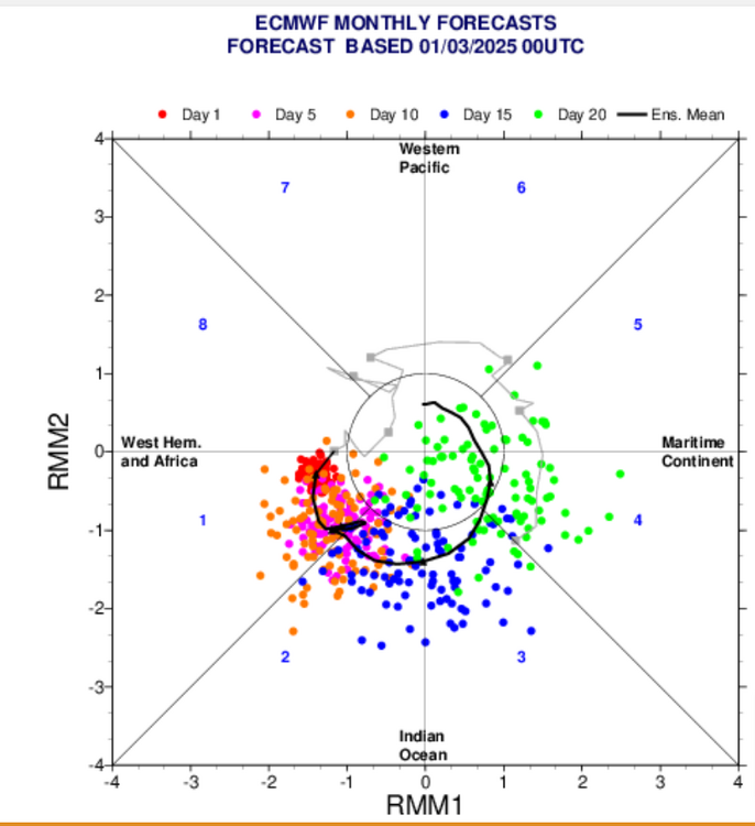 ECMWF-Charts-03-02-2025_12_57_PM.png